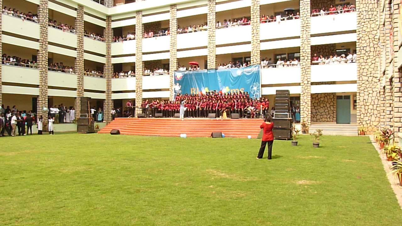 Birds Park Gathering