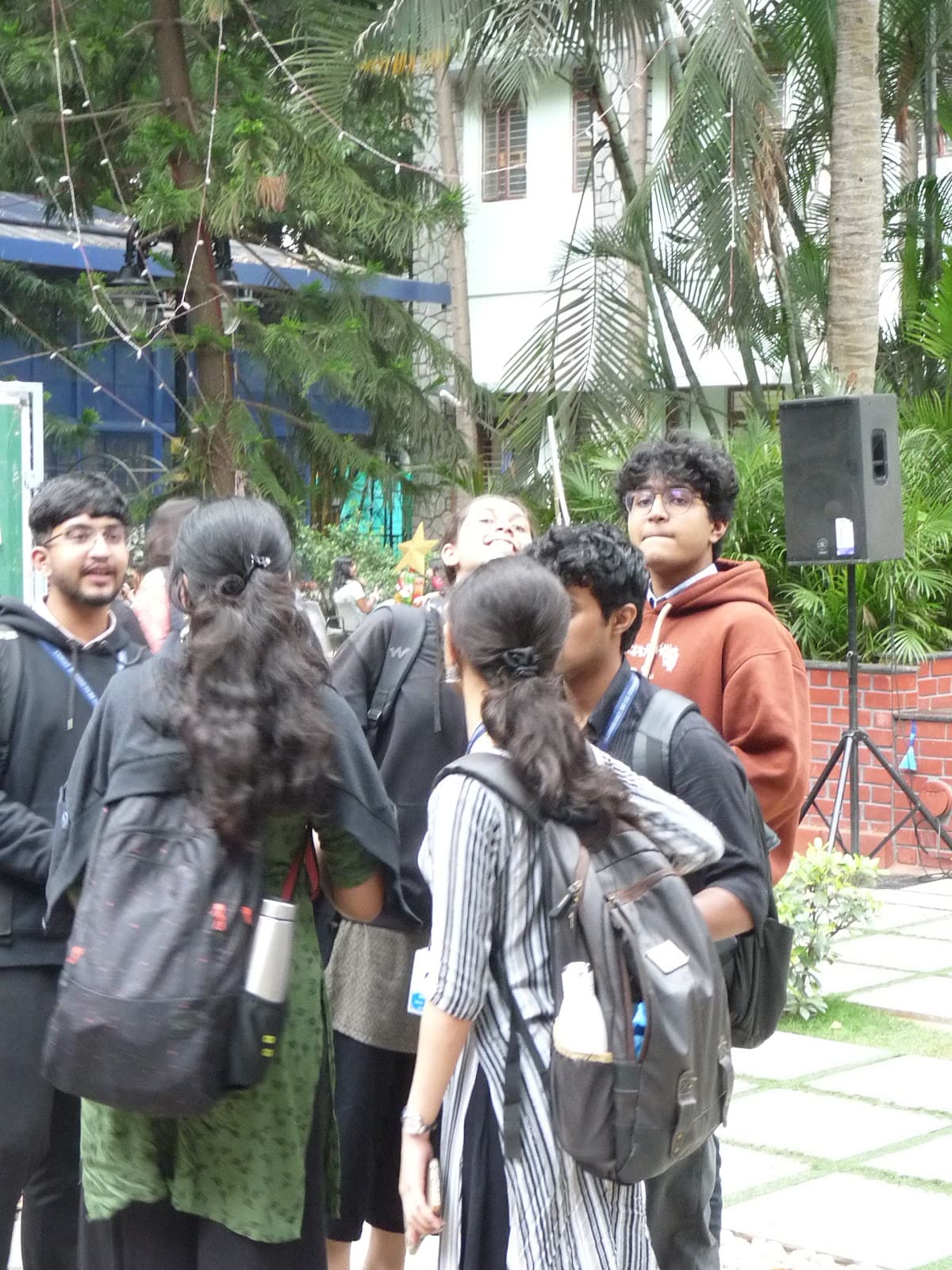 Ornamental Wonders & Radiant Colors